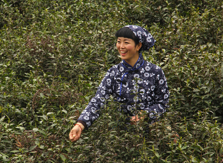 罪恶代码